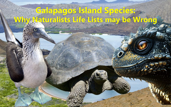 Galapagos Island Presentation